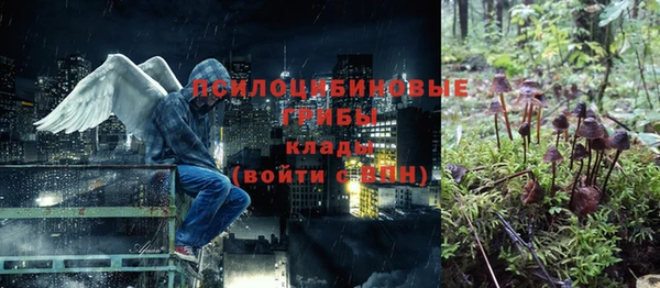 МДМА Дмитров